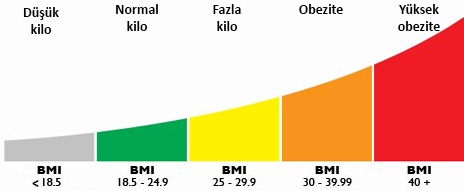 bmi2