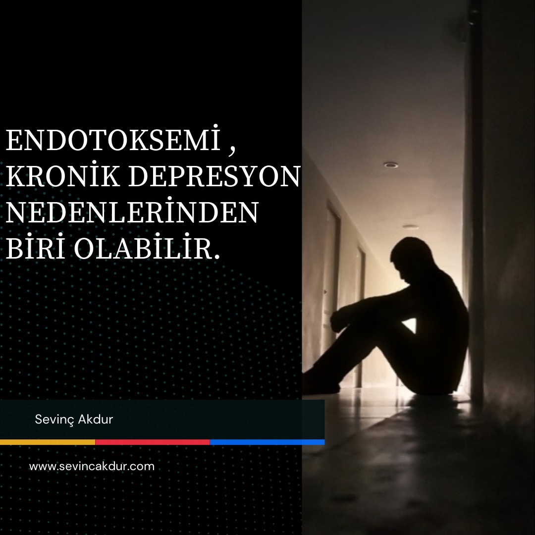 Sızdıran Bağırsak Kronik Depresyona Neden Olabilir